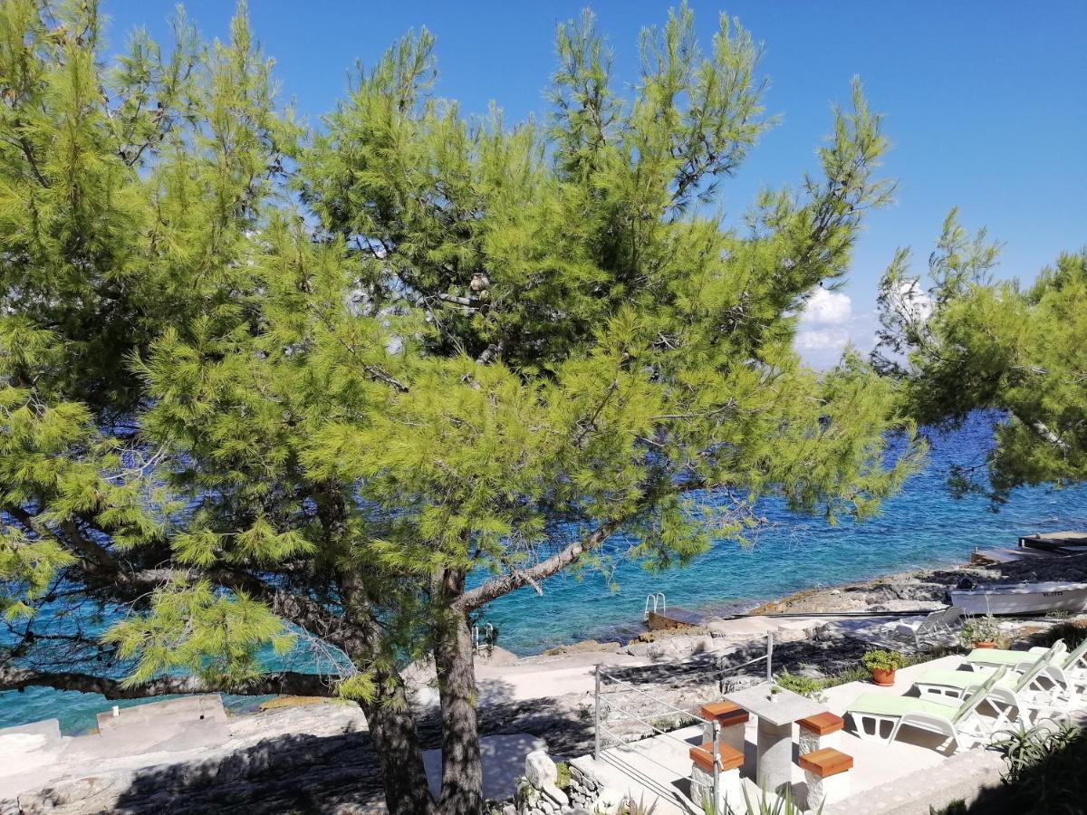 Apartment D&D Prigradica Dış mekan fotoğraf
